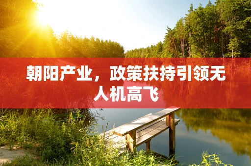 朝阳产业，政策扶持引领无人机高飞
