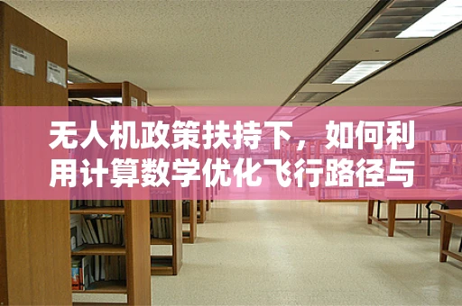 无人机政策扶持下，如何利用计算数学优化飞行路径与能效？