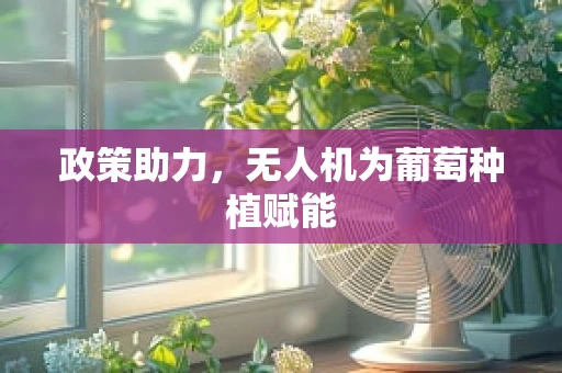 政策助力，无人机为葡萄种植赋能