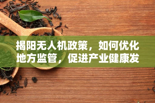 揭阳无人机政策，如何优化地方监管，促进产业健康发展？