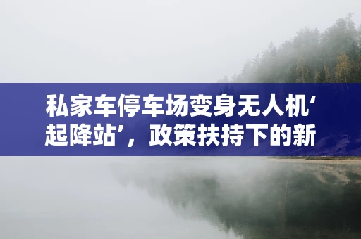 私家车停车场变身无人机‘起降站’，政策扶持下的新航道？