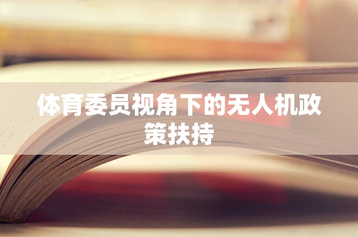 体育委员视角下的无人机政策扶持