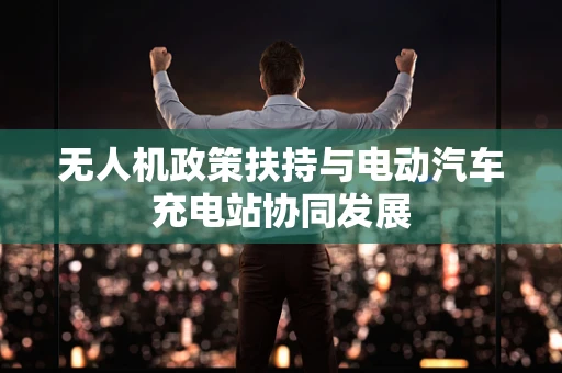 无人机政策扶持与电动汽车充电站协同发展