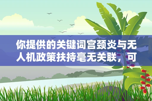 你提供的关键词宫颈炎与无人机政策扶持毫无关联，可能存在信息错误。以下是一篇关于无人机政策扶持的文章，供你参考