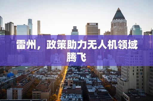 雷州，政策助力无人机领域腾飞