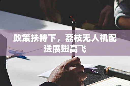 政策扶持下，荔枝无人机配送展翅高飞