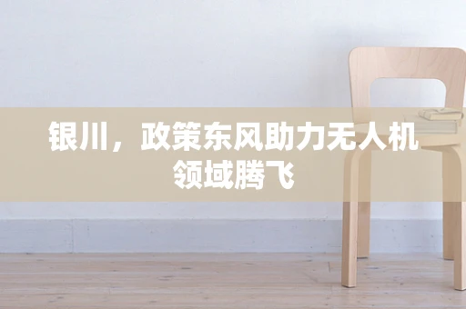银川，政策东风助力无人机领域腾飞