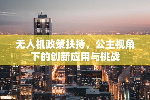 无人机政策扶持，公主视角下的创新应用与挑战