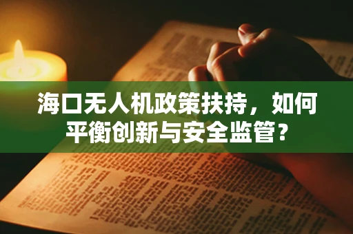 海口无人机政策扶持，如何平衡创新与安全监管？