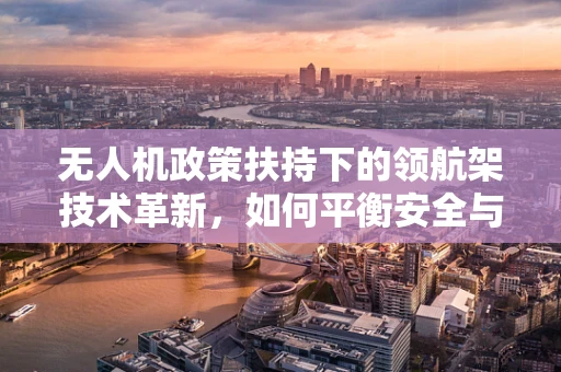 无人机政策扶持下的领航架技术革新，如何平衡安全与效率？