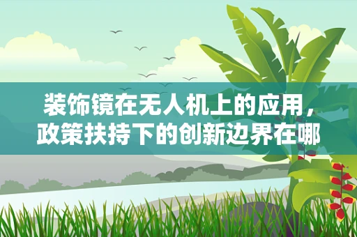 装饰镜在无人机上的应用，政策扶持下的创新边界在哪里？