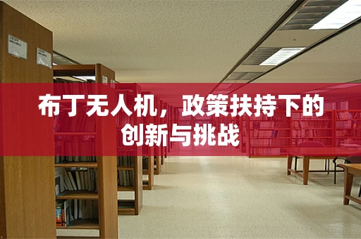 布丁无人机，政策扶持下的创新与挑战
