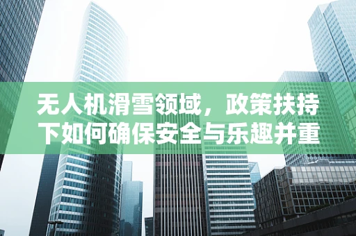 无人机滑雪领域，政策扶持下如何确保安全与乐趣并重？