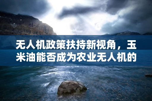 无人机政策扶持新视角，玉米油能否成为农业无人机的新燃料？