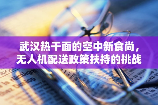 武汉热干面的空中新食尚，无人机配送政策扶持的挑战与机遇