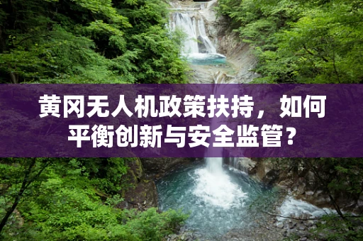 黄冈无人机政策扶持，如何平衡创新与安全监管？