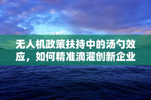 无人机政策扶持中的汤勺效应，如何精准滴灌创新企业？