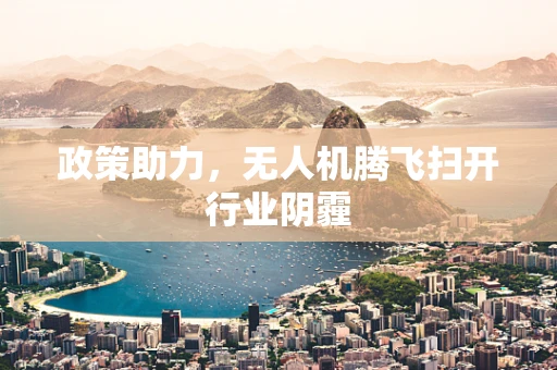 政策助力，无人机腾飞扫开行业阴霾