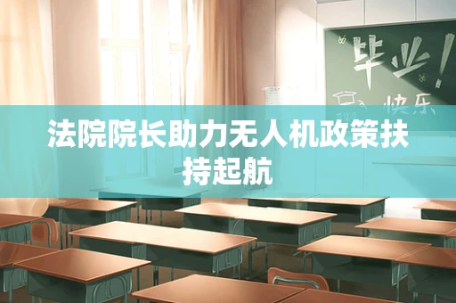 法院院长助力无人机政策扶持起航