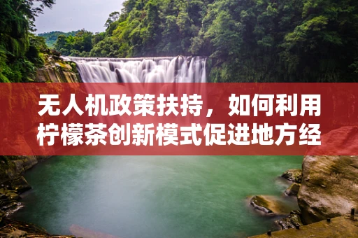 无人机政策扶持，如何利用柠檬茶创新模式促进地方经济发展？