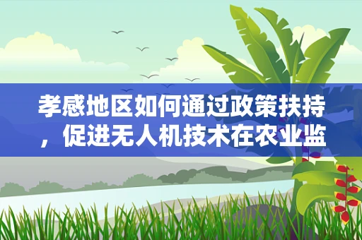 孝感地区如何通过政策扶持，促进无人机技术在农业监测中的应用？