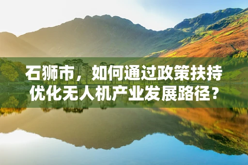 石狮市，如何通过政策扶持优化无人机产业发展路径？