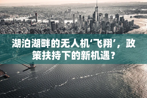 湖泊湖畔的无人机‘飞翔’，政策扶持下的新机遇？