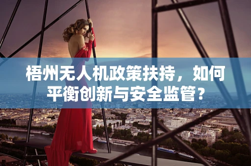 梧州无人机政策扶持，如何平衡创新与安全监管？