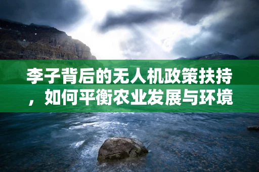 李子背后的无人机政策扶持，如何平衡农业发展与环境保护？