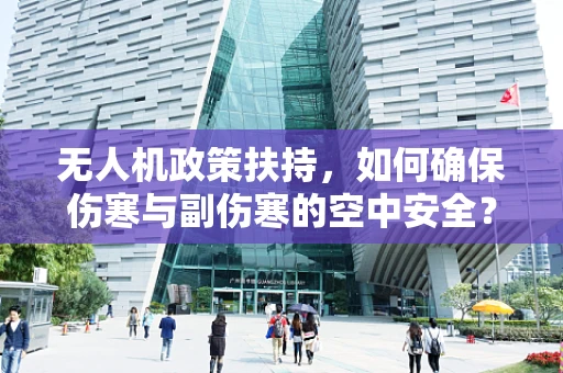 无人机政策扶持，如何确保伤寒与副伤寒的空中安全？