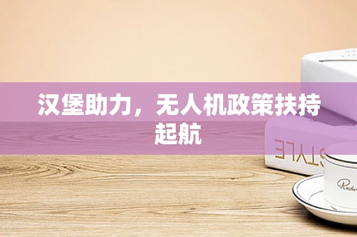 汉堡助力，无人机政策扶持起航