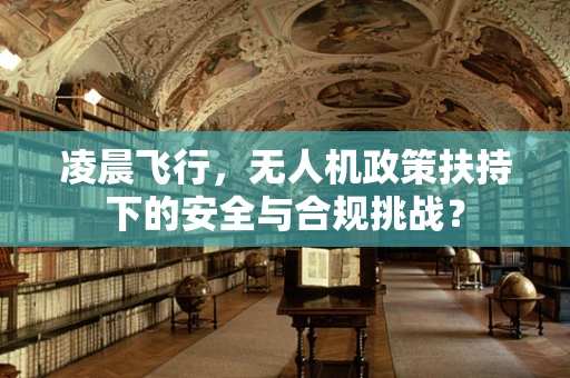 凌晨飞行，无人机政策扶持下的安全与合规挑战？