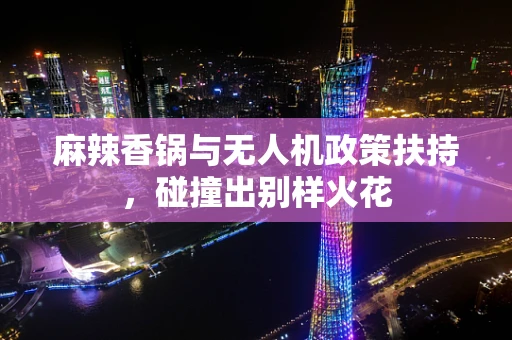 麻辣香锅与无人机政策扶持，碰撞出别样火花