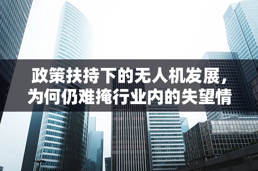政策扶持下的无人机发展，为何仍难掩行业内的失望情绪？