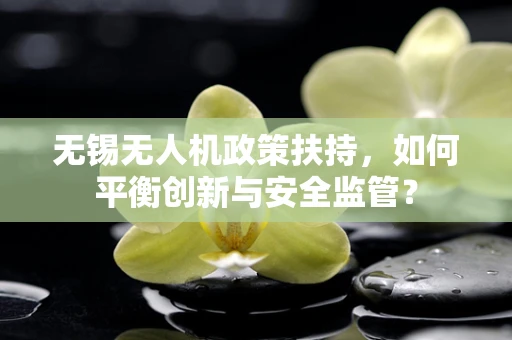 无锡无人机政策扶持，如何平衡创新与安全监管？