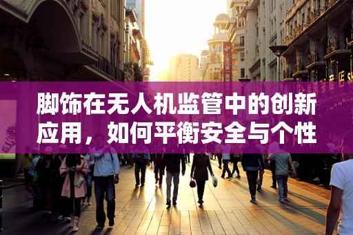 脚饰在无人机监管中的创新应用，如何平衡安全与个性化？
