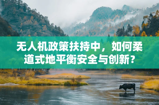 无人机政策扶持中，如何柔道式地平衡安全与创新？