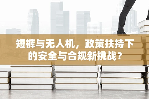 短裤与无人机，政策扶持下的安全与合规新挑战？
