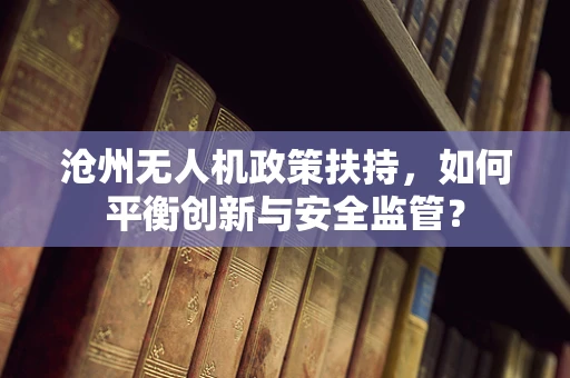 沧州无人机政策扶持，如何平衡创新与安全监管？