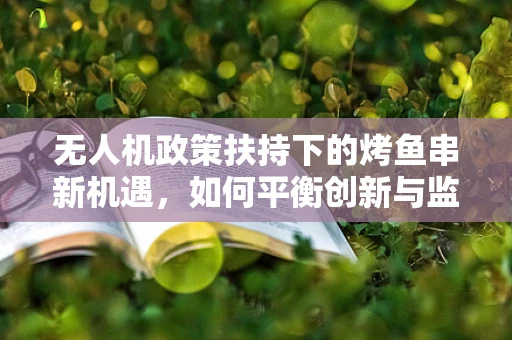 无人机政策扶持下的烤鱼串新机遇，如何平衡创新与监管？
