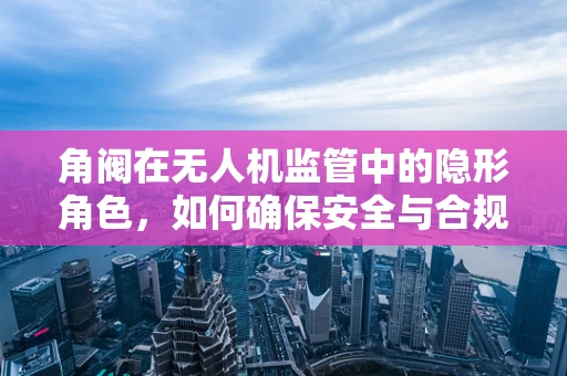 角阀在无人机监管中的隐形角色，如何确保安全与合规的双重保障？