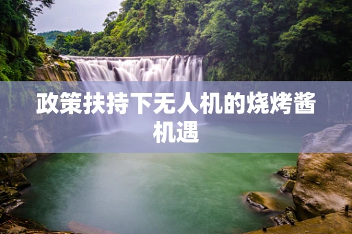 政策扶持下无人机的烧烤酱机遇