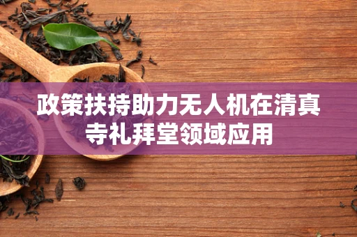 政策扶持助力无人机在清真寺礼拜堂领域应用