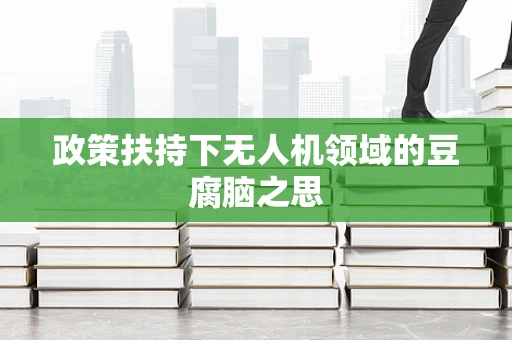 政策扶持下无人机领域的豆腐脑之思
