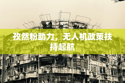孜然粉助力，无人机政策扶持起航