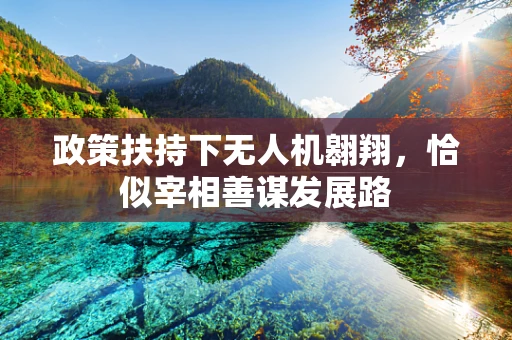 政策扶持下无人机翱翔，恰似宰相善谋发展路