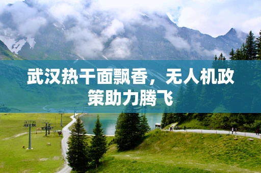 武汉热干面飘香，无人机政策助力腾飞