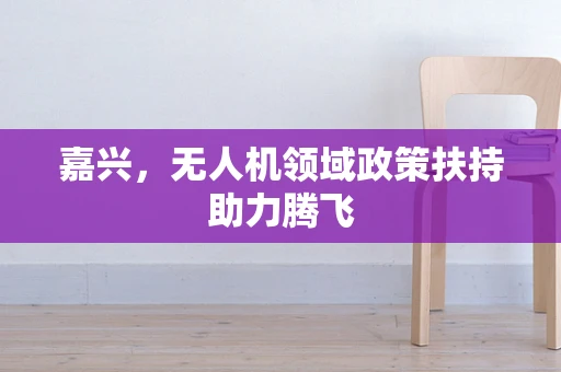 嘉兴，无人机领域政策扶持助力腾飞