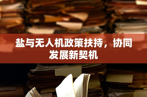 盐与无人机政策扶持，协同发展新契机