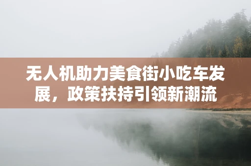 无人机助力美食街小吃车发展，政策扶持引领新潮流